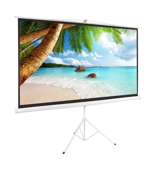 

Switch 52" foldable projector screen