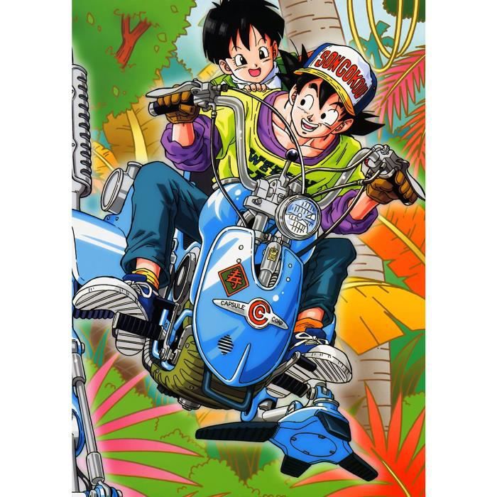 Poster pan and goku dragon ball manga dbz(42x60cmb) price in