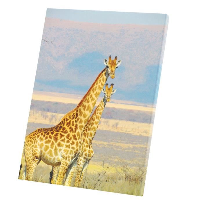 Decorative picture giraffes in the savannah wild animals africa (30 cm x 40  cm) price in Kuwait, X-Cite Kuwait