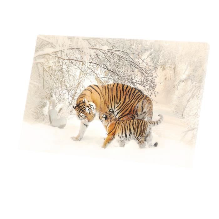 Decorative picture tiger and baby in the snow winter wild animals cute  (62cm x 40cm) price in Kuwait | X-Cite Kuwait | kanbkam