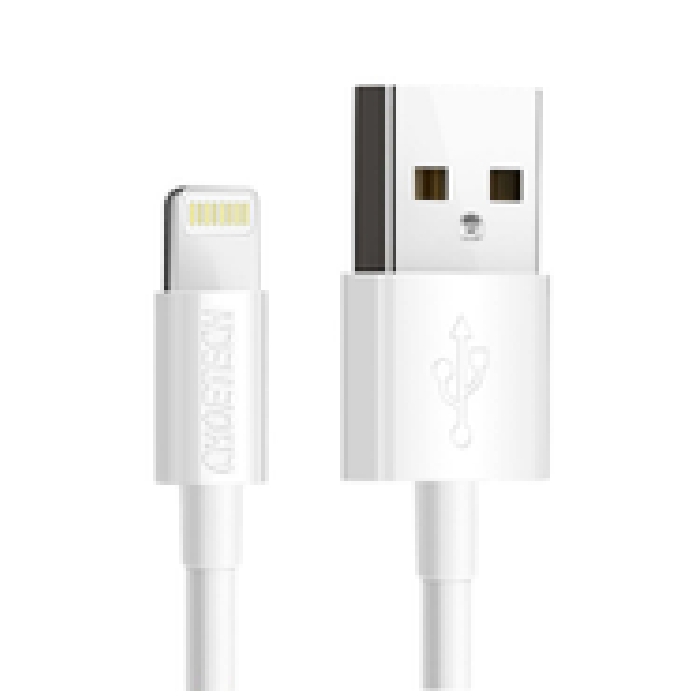 Buy Choetech usb a to lightning mfi 1. 2m cable - white in Saudi Arabia