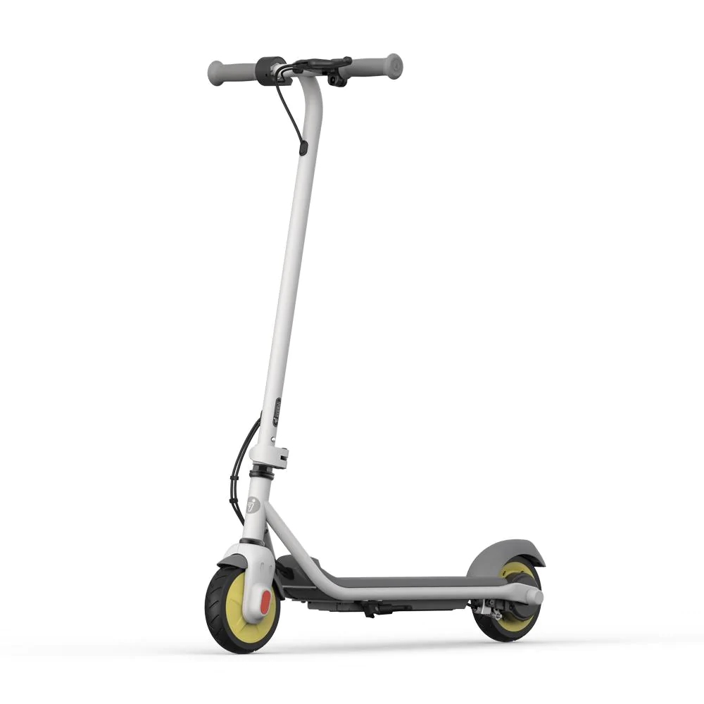 

Ninebot kickscooter zing c10 segway