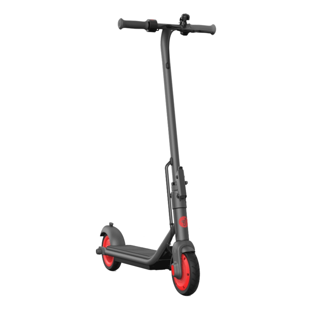 

Ninebot kickscooter zing c20 segway