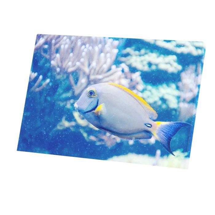 Exotic fish prices on sale