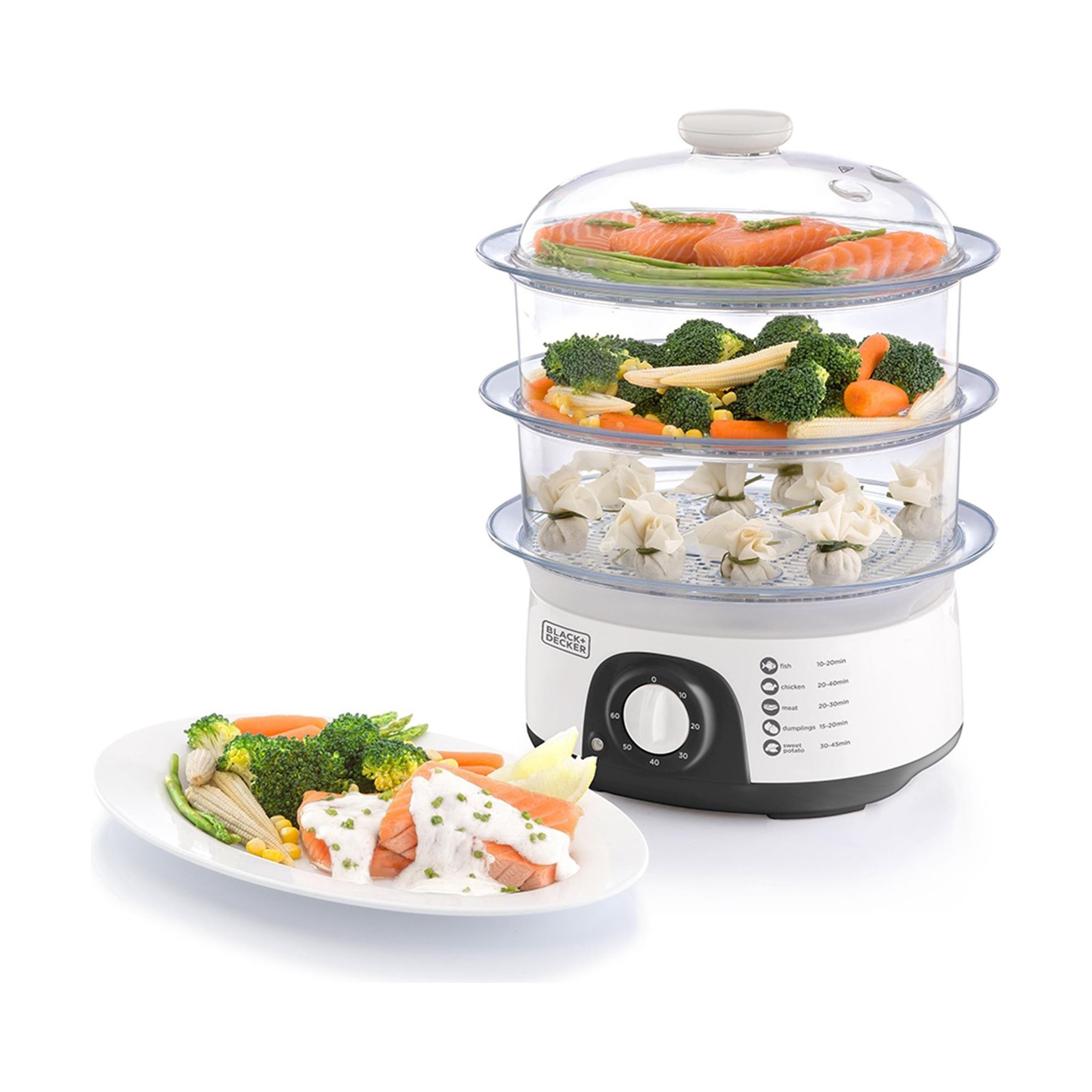 steamer black e decker