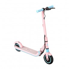 Segway Zing E8 Ninebot eKickScooter Pink Children's Electric Scooter  in Kuwait | Buy Online – Xcite