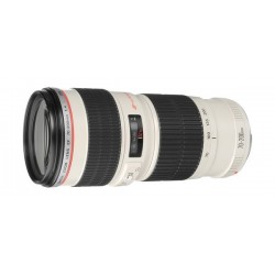 Canon EF 70-200mm f/4L USM Lens - Black & White