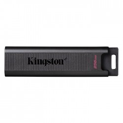Kingston DataTraveler Max 256 GB USB 3.2 Gen2 Flash Drive 