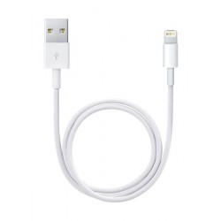 Apple USB Lightning Cable 0.5 Meter (ME291AM/A) - White