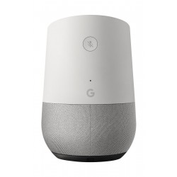 Google Home Portable Speaker - White/Slate