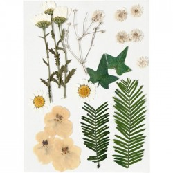 Assortment of dried flowers Yellow - 19 pcs