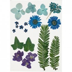 Assortment of dried flowers Blue - 19 pcs