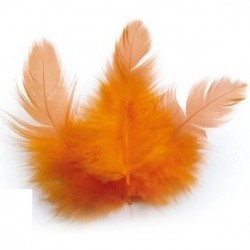 Rooster feathers - Orange