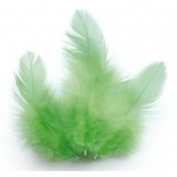 Rooster feathers - Light green