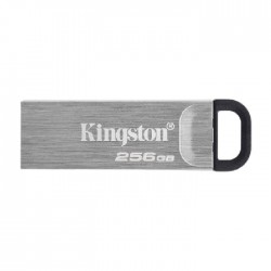 Kingston DataTraveler 256GB USB 3.2 Flash Drive 