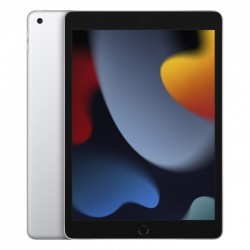 Apple iPad 2021 4G 256GB - Silver