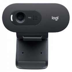 Logitech C505 HD USB Webcam  - Black