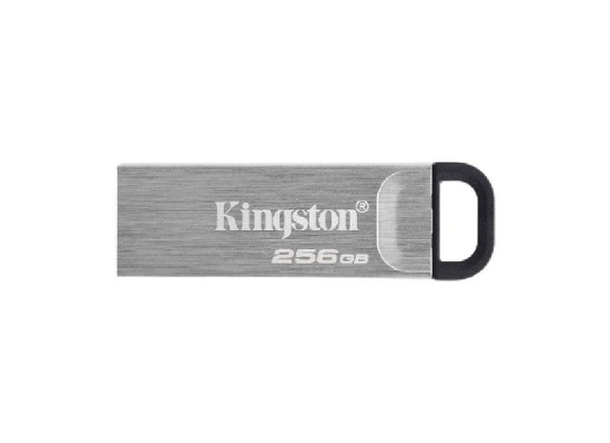 Kingston DataTraveler 256GB USB 3.2 Flash Drive 
