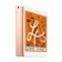 APPLE iPad Mini 5 7.9-inch 64GB Wi-Fi Only Tablet - Gold 4