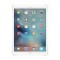 APPLE iPad Pro 10.5-inch 256GB Wi-Fi Only Tablet - Gold