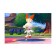 Pokemon Shield - Nintendo Switch Game