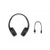 Sony Wireless On-Ear Headphone (WH-CH510) - Black