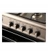 Wansa 80x50 cm 5-Burner Floor Standing Gas Cooker (WC18502114X) 