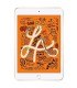 APPLE iPad Mini 5 7.9-inch 256GB 4G LTE Tablet - Gold 4