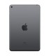 APPLE iPad Mini 5 7.9-inch 256GB 4G LTE Tablet - Space Grey 1