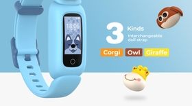 Interchangeable Dials and Straps