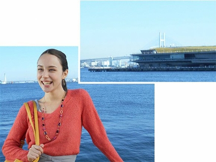 20 Effective Megapixels CCD Image Sensor