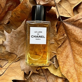 Chanel Le Lion Women's EDP 200ml | Xcite