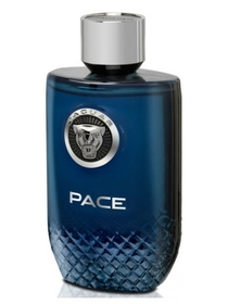 Jaguar Pace by Jaguar