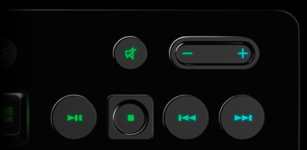 Dedicated Media Controls