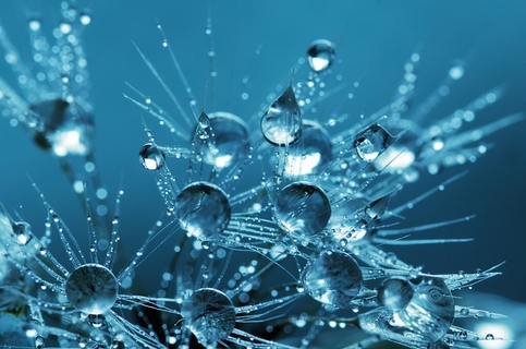 Macro