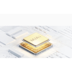 MJA1 security chip, finance-grade data protection