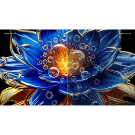 93% DCI-P3 مجموعة ألوان فائقة الارتفاع