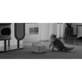 Infrared night vision