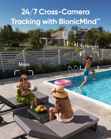 Cross-Camera Tracking with BionicMind™?