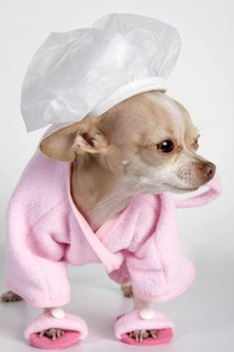 For Healthy Skin and Coat