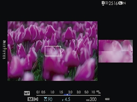 Fast Response To Capture A Decisive Moment With Any Type Of Subject