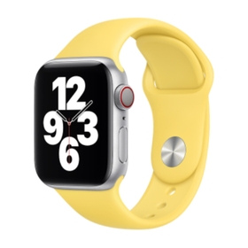 Apple Watch Regular Sport loop