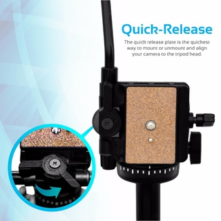 Quick-Release Plate