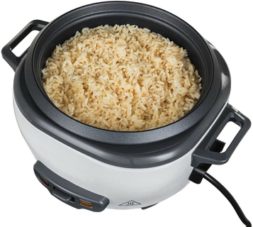 rice cooker worten