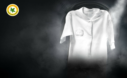 Combat Allergens With The Power of TrueSteam