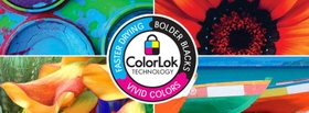 ColorLok Symbol Potrays Colors Deep and Rich