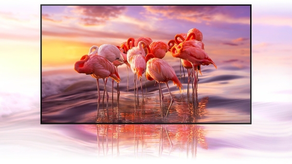 Color Volume 100% with Quantum Dot