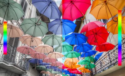 Life’s Brilliance, Revealed With Extra Colors