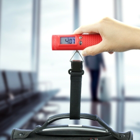 3-in-1 Traveler's Choice