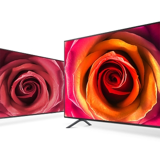 Immerse in Vivid & Precise Colour